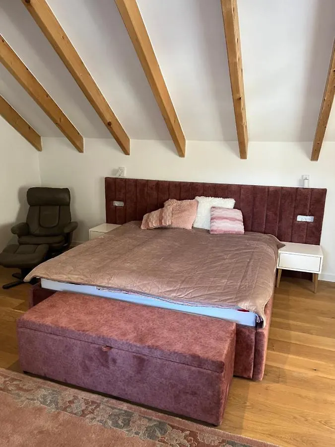 Lynx House Villa Delnice