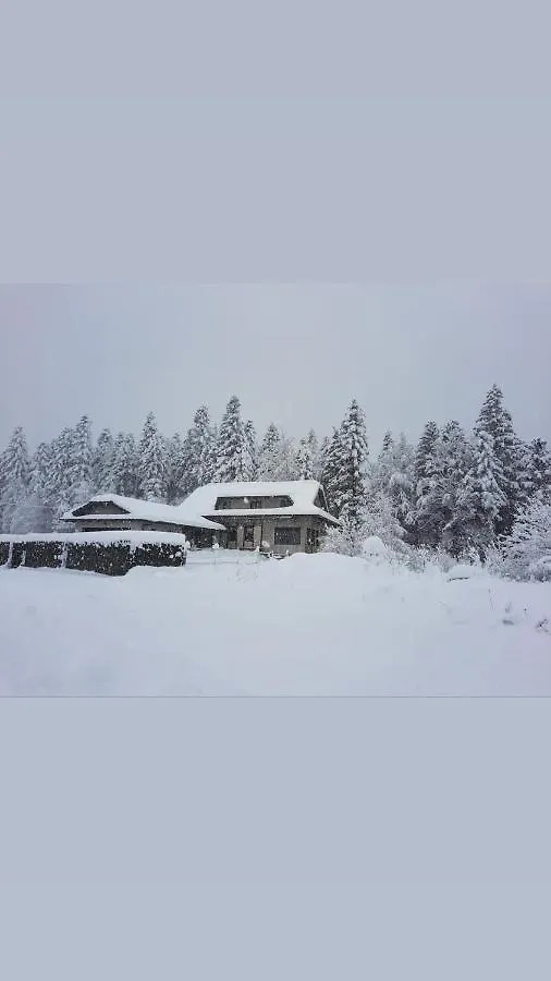 Lynx House Villa Delnice