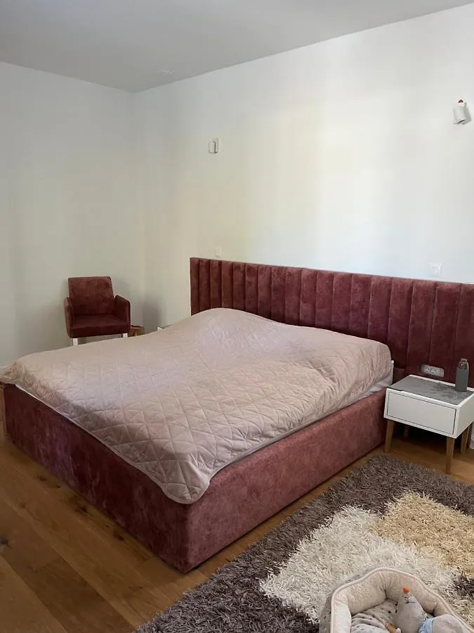 Vila Lynx House Delnice Chorvatsko