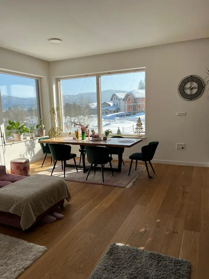 Vila Lynx House Delnice